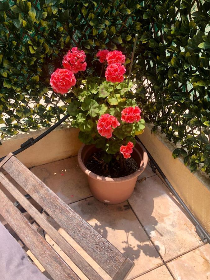 Mon Appart Avec Terrasse Et Piscine Roquebrune-Cap-Martin Exterior foto